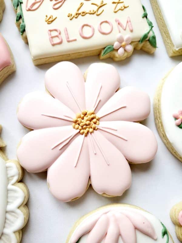 Baby in Bloom Set - Image 3